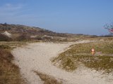 Pannenkoekenmolenloop 2016 - 32.jpg